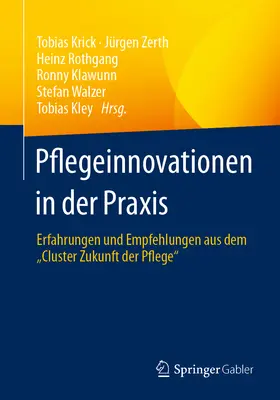 Pflegeinnovationen in Der Praxis: Erfahrungen Und Empfehlungen Aus Dem Cluster Zukunft Der Pflege
