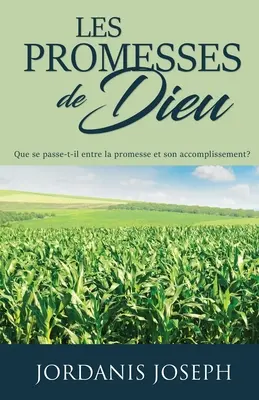 Las promesas de Dios: ¿Qué pasa entre la promesa y su cumplimiento? - Les Promesses De Dieu: Que se passe-t-il entre la promesse et son accomplissement?