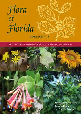 Flora de Florida, Volumen VII: Dicotiledóneas, desde Orobanchaceae hasta Asteraceae - Flora of Florida, Volume VII: Dicotyledons, Orobanchaceae through Asteraceae