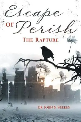 Escapar o perecer: El Rapto - Escape or Perish: The Rapture