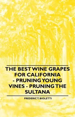 Las mejores uvas para California - Poda de viñas jóvenes - Poda de la Sultana - The Best Wine Grapes for California - Pruning Young Vines - Pruning the Sultana