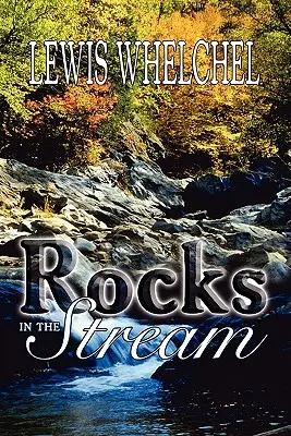 Rocas en el arroyo - Rocks in the Stream