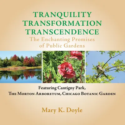 Tranquilidad Transformación Trascendencia: Las encantadoras promesas de los jardines públicos - Tranquility Transformation Transcendence: The Enchanting Promises of Public Gardens