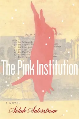 La Institución Rosa - The Pink Institution