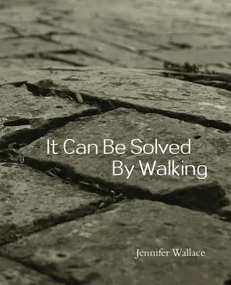 Se soluciona andando - It Can Be Solved by Walking