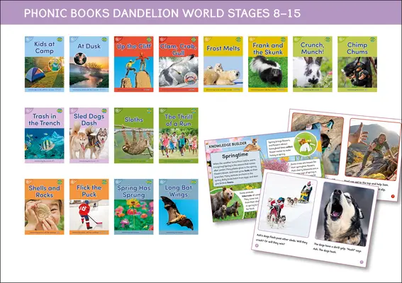 Phonic Books Dandelion World Etapas 8-15 (Palabras con cuatro sonidos CVCC) - Phonic Books Dandelion World Stages 8-15 (Words with Four Sounds CVCC)