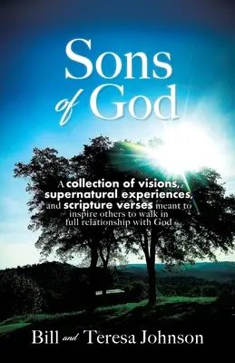 Hijos de Dios: Una colección de visiones, experiencias sobrenaturales y versículos bíblicos destinados a inspirar a otros a caminar en plena relati - Sons of God: A collection of visions, supernatural experiences, and scripture verses meant to inspire others to walk in full relati