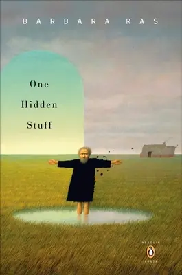 Una cosa escondida - One Hidden Stuff