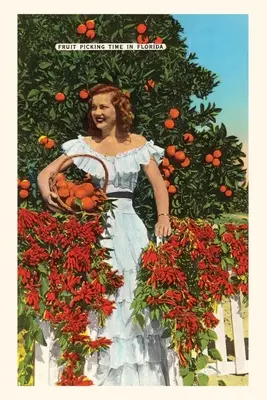 Diario Vintage Southern Belle, Oranges, Florida - Vintage Journal Southern Belle, Oranges, Florida