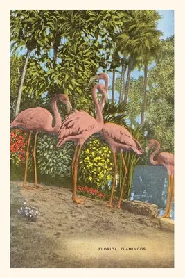 Diario Vintage Flamingos, Florida - Vintage Journal Flamingos, Florida