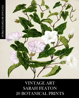 Arte Vintage: Sarah Featon 20 Impresiones Botánicas - Vintage Art: Sarah Featon 20 Botanical Prints