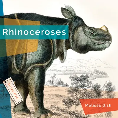 Rinocerontes - Rhinoceroses