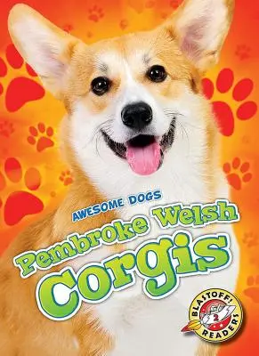 Corgis galeses de Pembroke - Pembroke Welsh Corgis