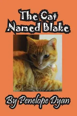 El gato llamado Blake - The Cat Named Blake