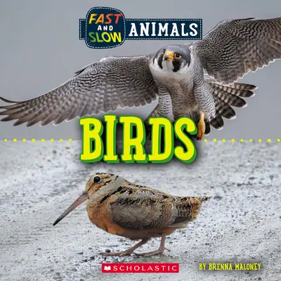 Rápido y lento: Aves (Mundo salvaje) - Fast and Slow: Birds (Wild World)