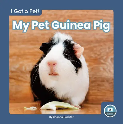 Mi cobaya - My Pet Guinea Pig