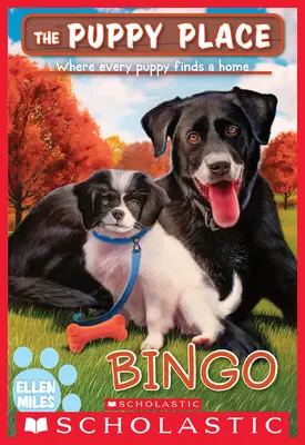 Bingo (el lugar de los cachorros #65) - Bingo (the Puppy Place #65)