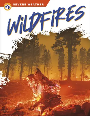 Incendios forestales - Wildfires