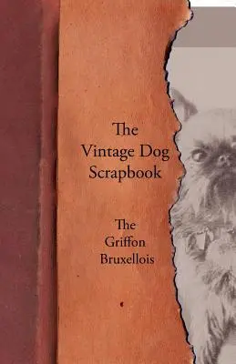 El álbum de recortes de perros de época - El Grifón de Bruselas - The Vintage Dog Scrapbook - The Griffon Bruxellois