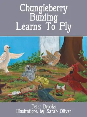 El escribano montesino aprende a volar - Chungleberry Bunting Learns to Fly