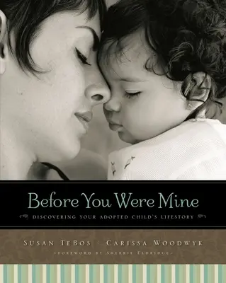 Antes de que fueras mío: Descubriendo la historia de su hijo adoptado - Before You Were Mine: Discovering Your Adopted Child's Lifestory