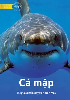 Tiburones - C mập - Sharks - C mập