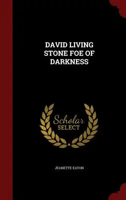 David Piedra Viva Enemigo de la Oscuridad - David Living Stone Foe of Darkness