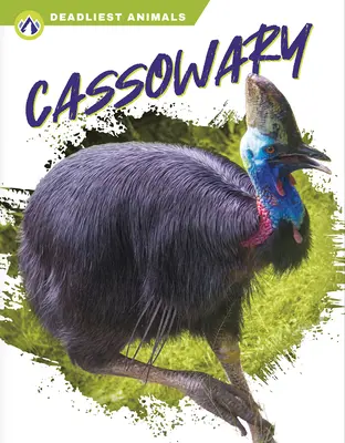 Casuario - Cassowary