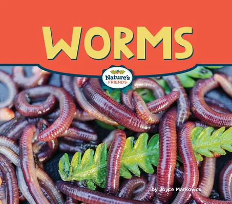 Gusanos - Worms