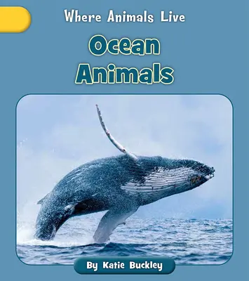 Animales del océano - Ocean Animals