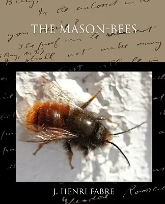 Los albañiles - The Mason-bees