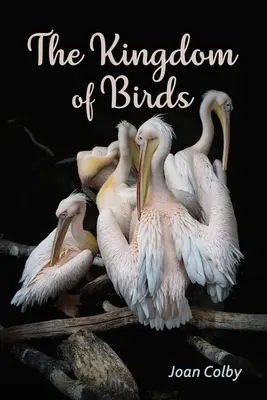 El reino de los pájaros - The Kingdom of Birds