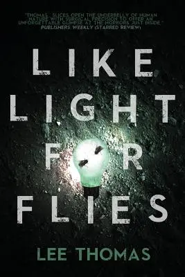 Como luz para las moscas Cuentos - Like Light for Flies: Stories