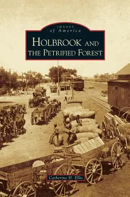 Holbrook y el bosque petrificado - Holbrook and the Petrified Forest