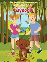 Las aventuras del caniche Candy en Hervey Bay - The Hervey Bay Adventures of Candy the Cavoodle