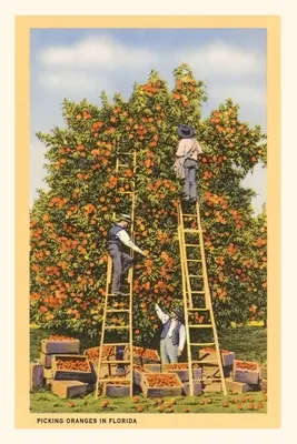 Diario Vintage Recogiendo naranjas en Florida - Vintage Journal Picking Oranges in Florida