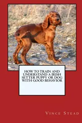 Cómo Adiestrar y Criar a un Cachorro o Perro Setter Irlandés con Buen Comportamiento - How to Train and Raise a Irish Setter Puppy or Dog with Good Behavior