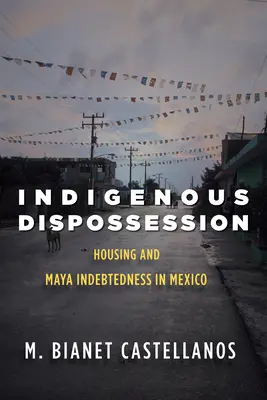 Despojo indígena: Vivienda y endeudamiento maya en México - Indigenous Dispossession: Housing and Maya Indebtedness in Mexico