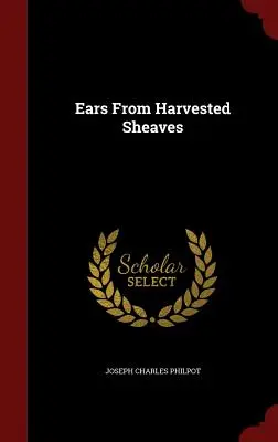 Orejas De Gavillas Cosechadas - Ears From Harvested Sheaves