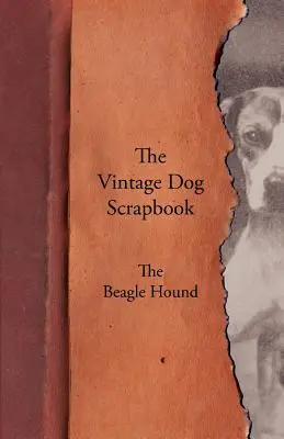 The Vintage Dog Scrapbook - El Sabueso Beagle - The Vintage Dog Scrapbook - The Beagle Hound
