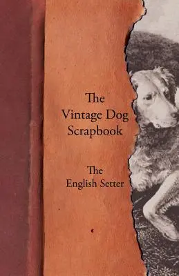 The Vintage Dog Scrapbook - El Setter Inglés - The Vintage Dog Scrapbook - The English Setter
