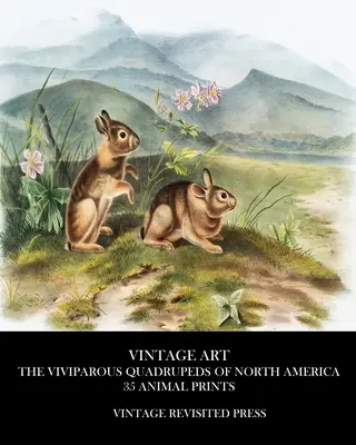 Arte Vintage: Los cuadrúpedos vivíparos de Norteamérica 35 estampas de animales - Vintage Art: The Viviparous Quadrupeds of North America 35 Animal Prints