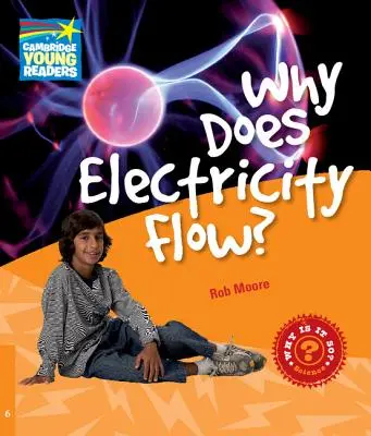 ¿Por qué fluye la electricidad? Libro de datos de nivel 6 - Why Does Electricity Flow? Level 6 Factbook