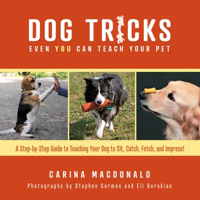 Trucos para perros que hasta usted puede enseñar a su mascota: Guía paso a paso para enseñar a su mascota a sentarse, atrapar, traer e impresionar - Dog Tricks Even You Can Teach Your Pet: A Step-By-Step Guide to Teaching Your Pet to Sit, Catch, Fetch, and Impress