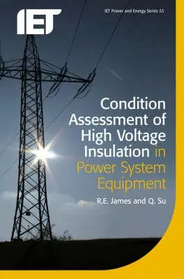 Evaluación del estado del aislamiento de alta tensión en equipos de redes eléctricas - Condition Assessment of High Voltage Insulation in Power System Equipment