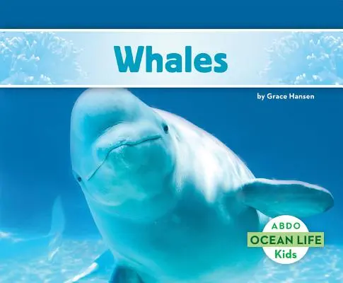 Ballenas - Whales