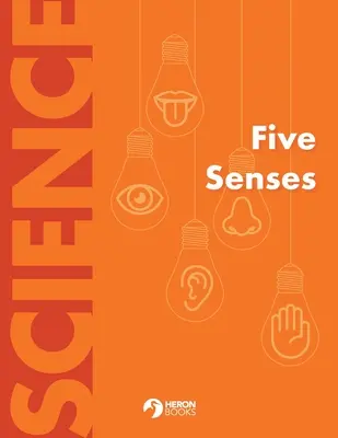 Los cinco sentidos - Five Senses