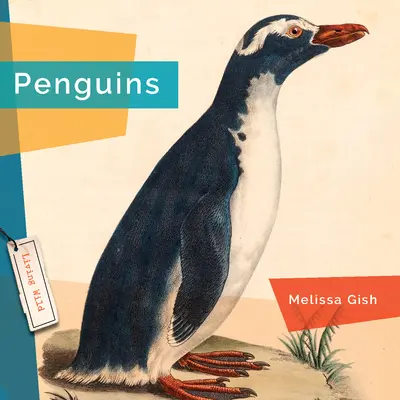 Pingüinos - Penguins
