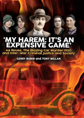 Mi Harén: Es un juego caro - My Harem: It's an Expensive Game