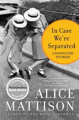 Por si nos separamos Historias conectadas - In Case We're Separated: Connected Stories
